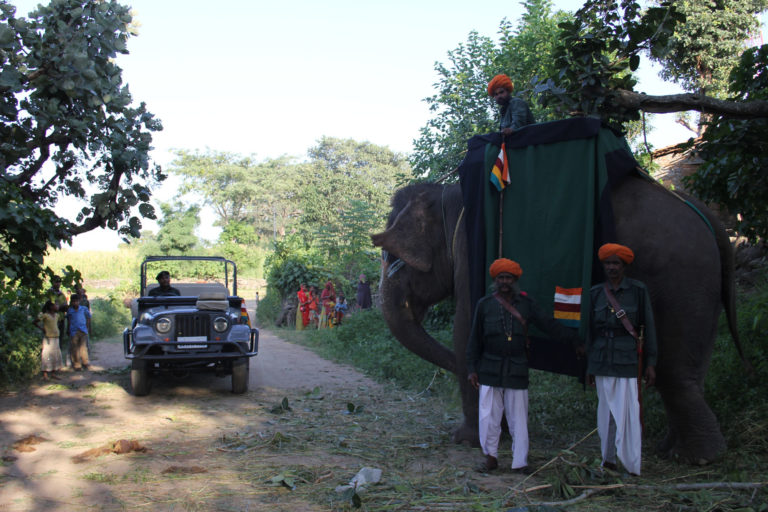 Elephantjeeptribeswomen