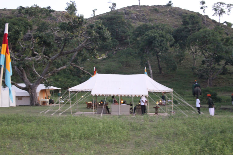 elephant safari