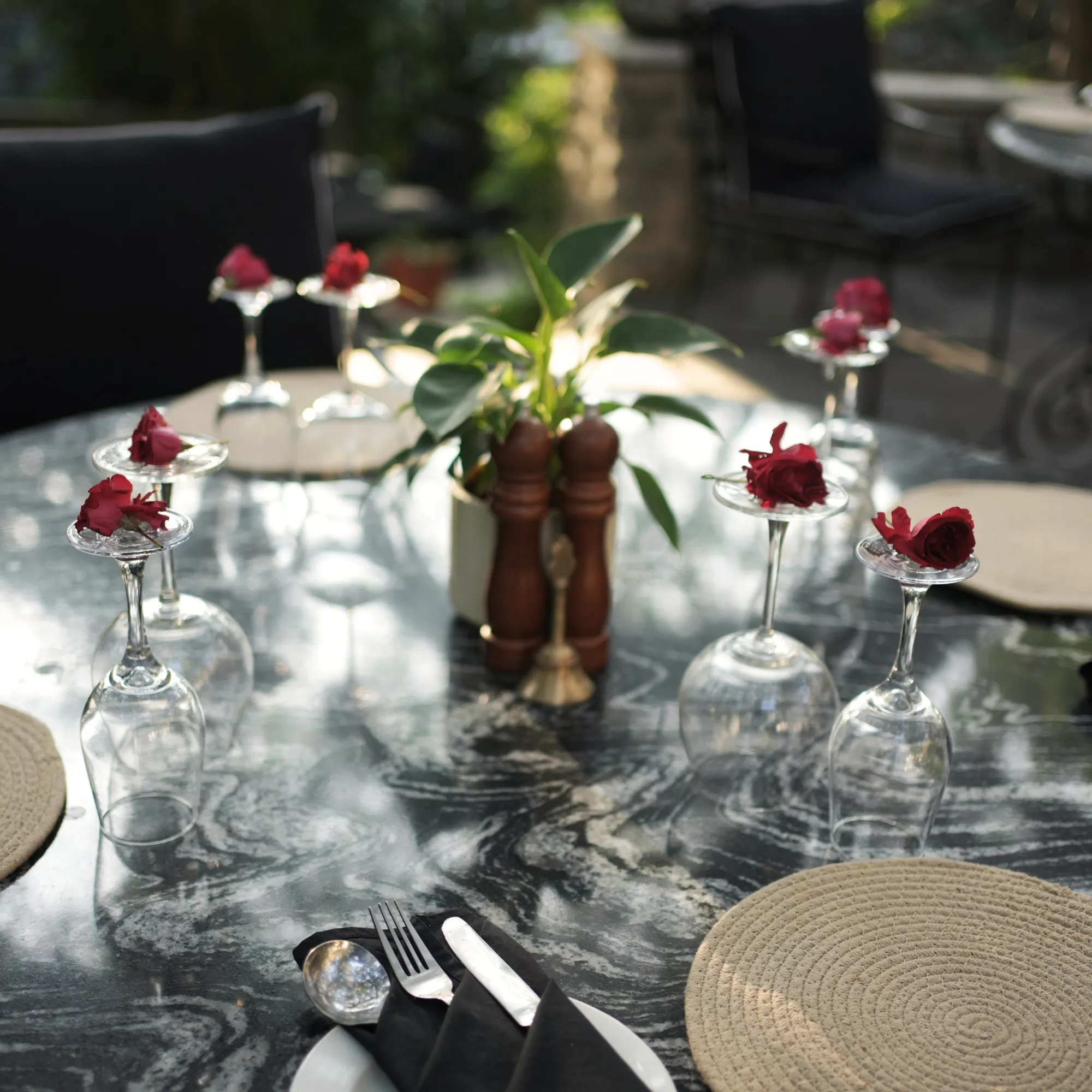 Banyan Tree Dining at Mountbatten Lodge 2
