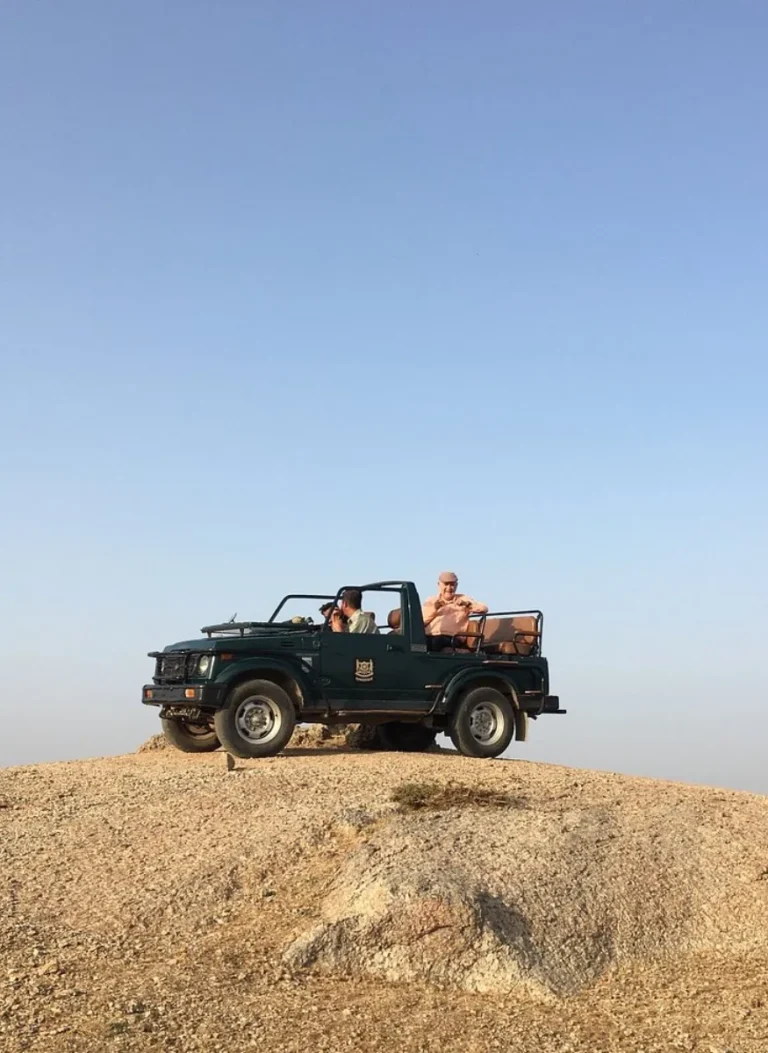 Safari Experiences at Mountbatten Lodge